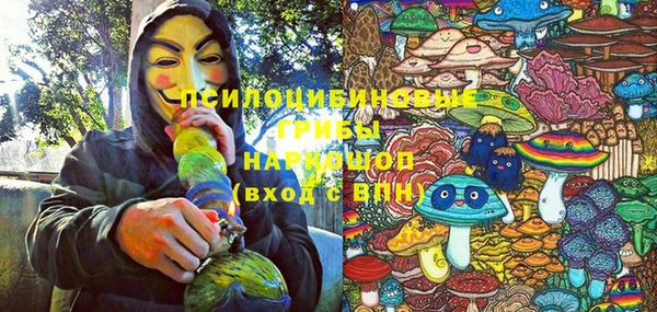 винт Богданович